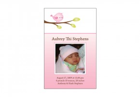 Aubrey-Thi-Stephens-Baby-Announcement